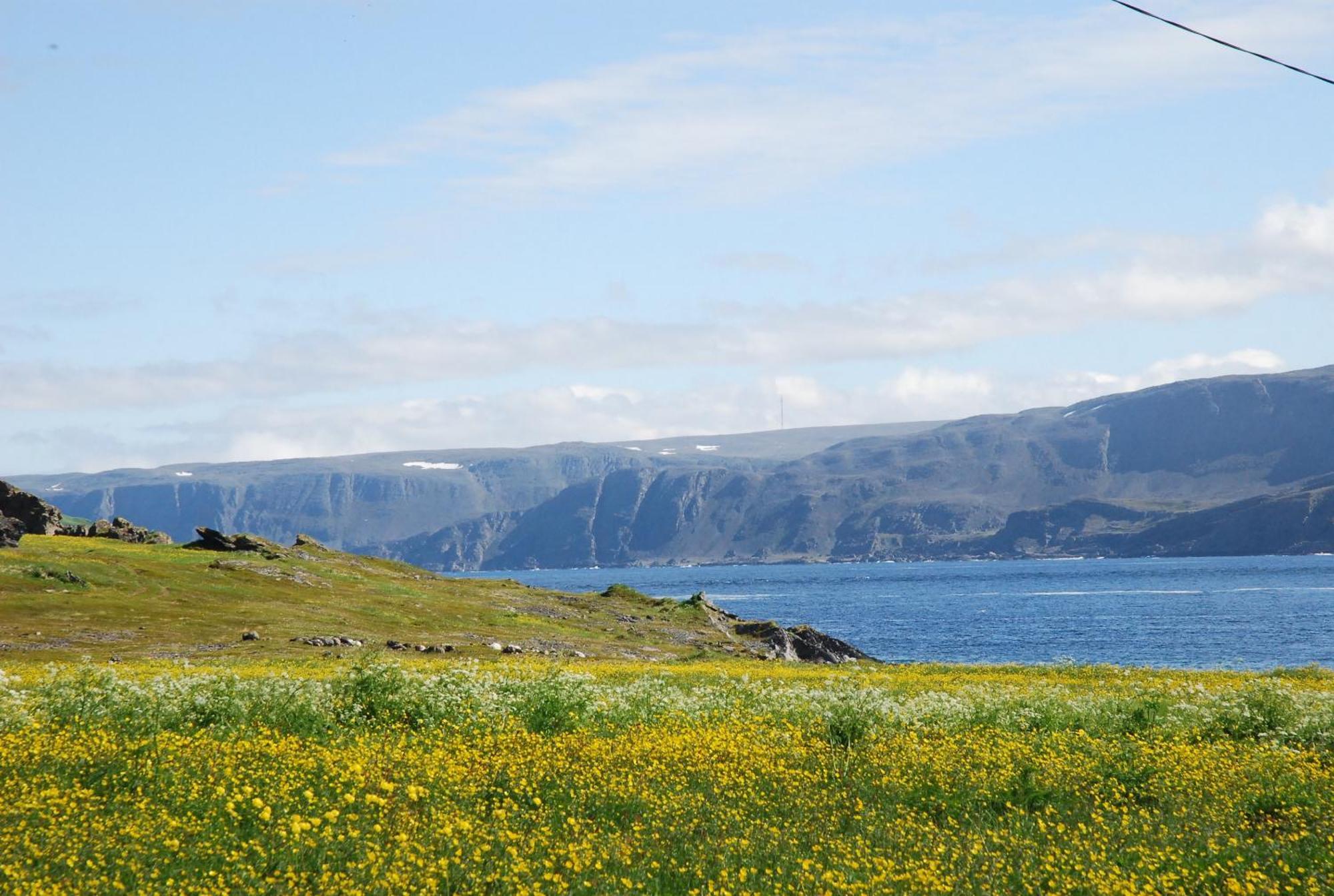 Kongsfjord Holiday Home Exteriér fotografie